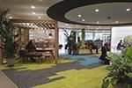 Putting People First - The Biophilic Office