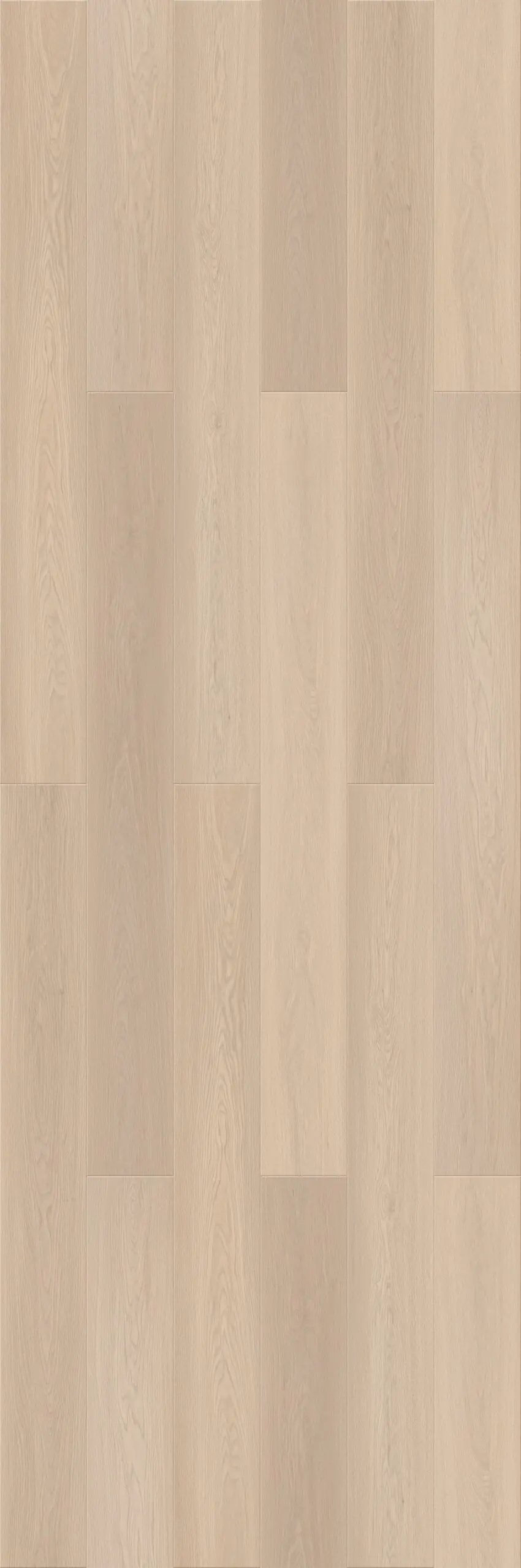 Pale White Oak AC4 Trident Laminate Flooring