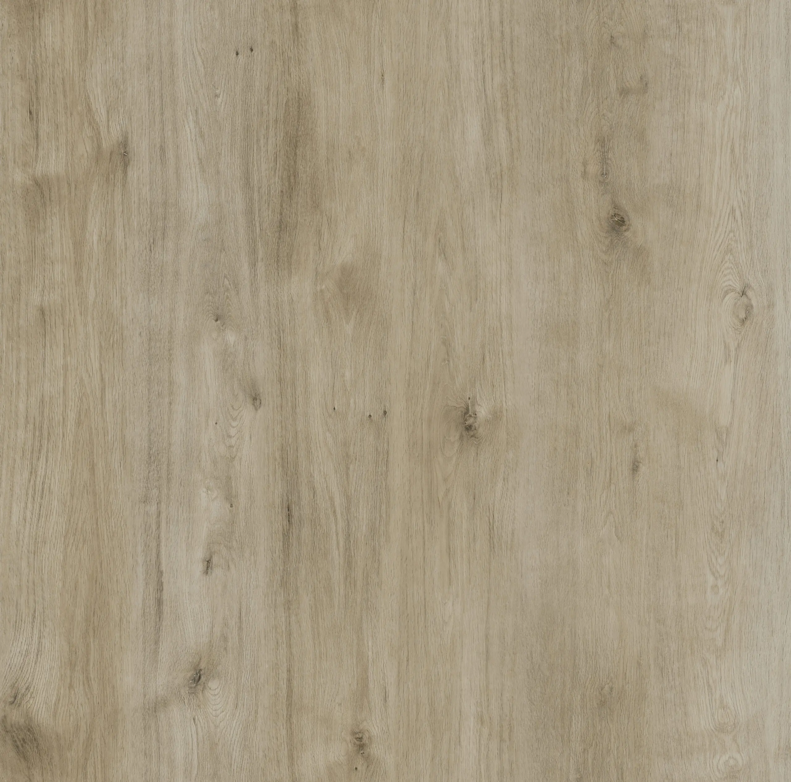 Trident Laminate Light Fumed Oak Herringbone Parquet