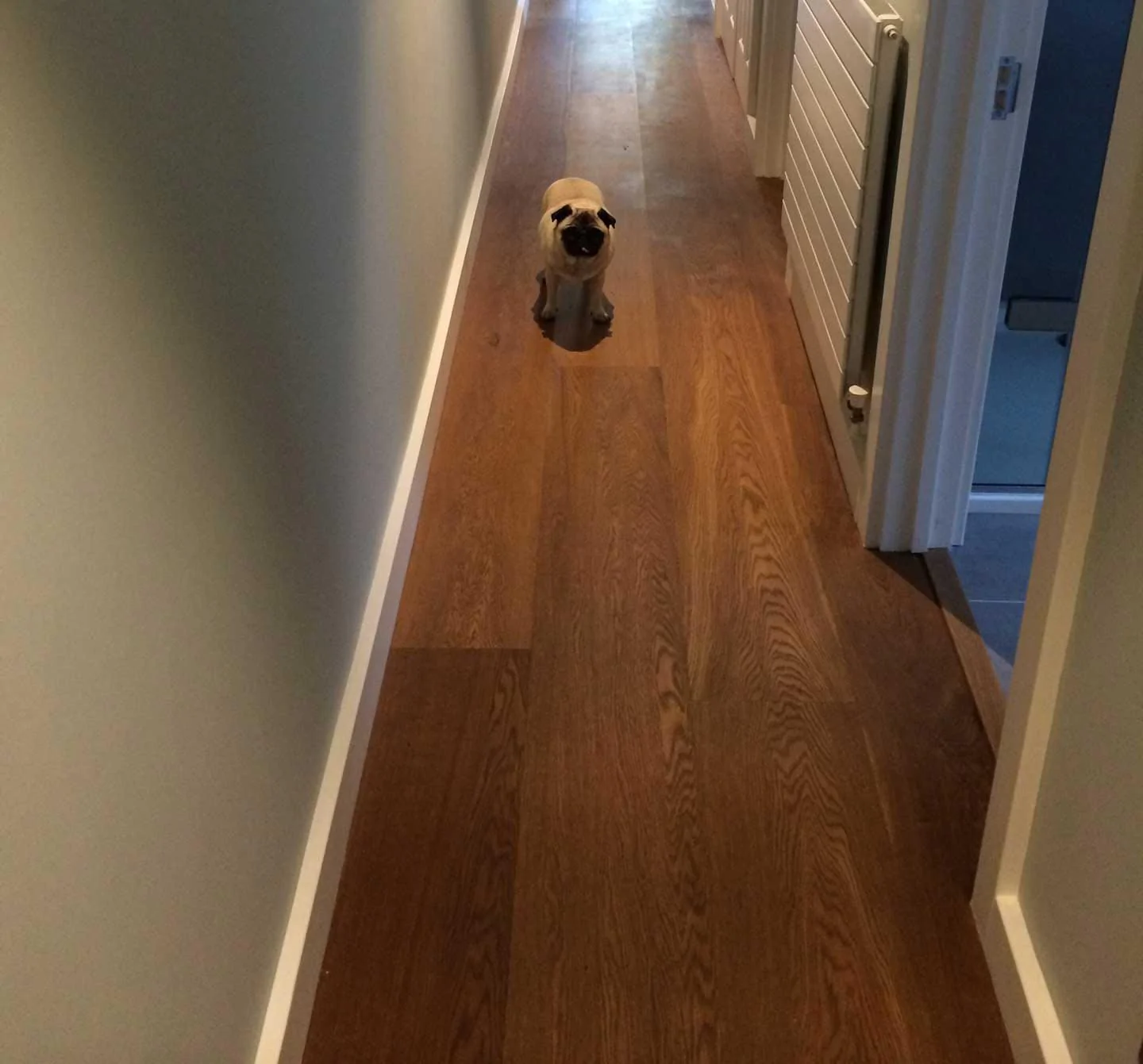 Brushed Dark Walnut Colour Oak Flooring Oiled Finish | E206