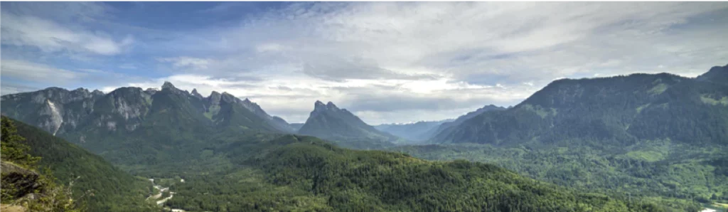 Illegal Logging in Brazil