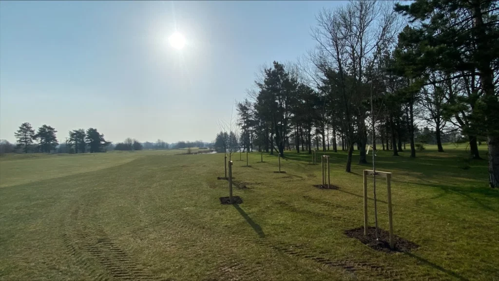 Planting trees with Minchinhampton Golf Club
