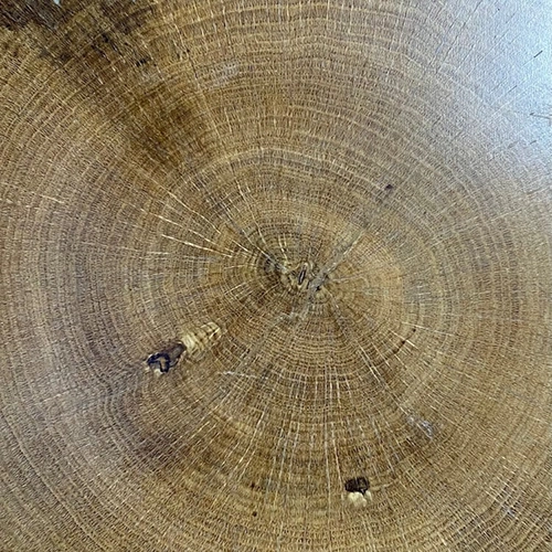 Lacquered Natural End Grain Oak Flooring