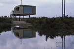 The Future Timber House