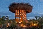 Bird nest hotel room lets safari guests sleep above the trees