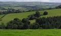 Ambitious plan for tree planting in Scotland -ConforNews