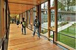 How wood in schools can nourish learning