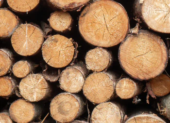 Understanding Wood and it's properties