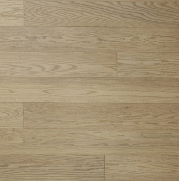 Plank